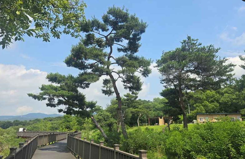 금광호수