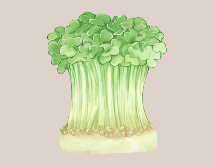 재배한-무순-외관