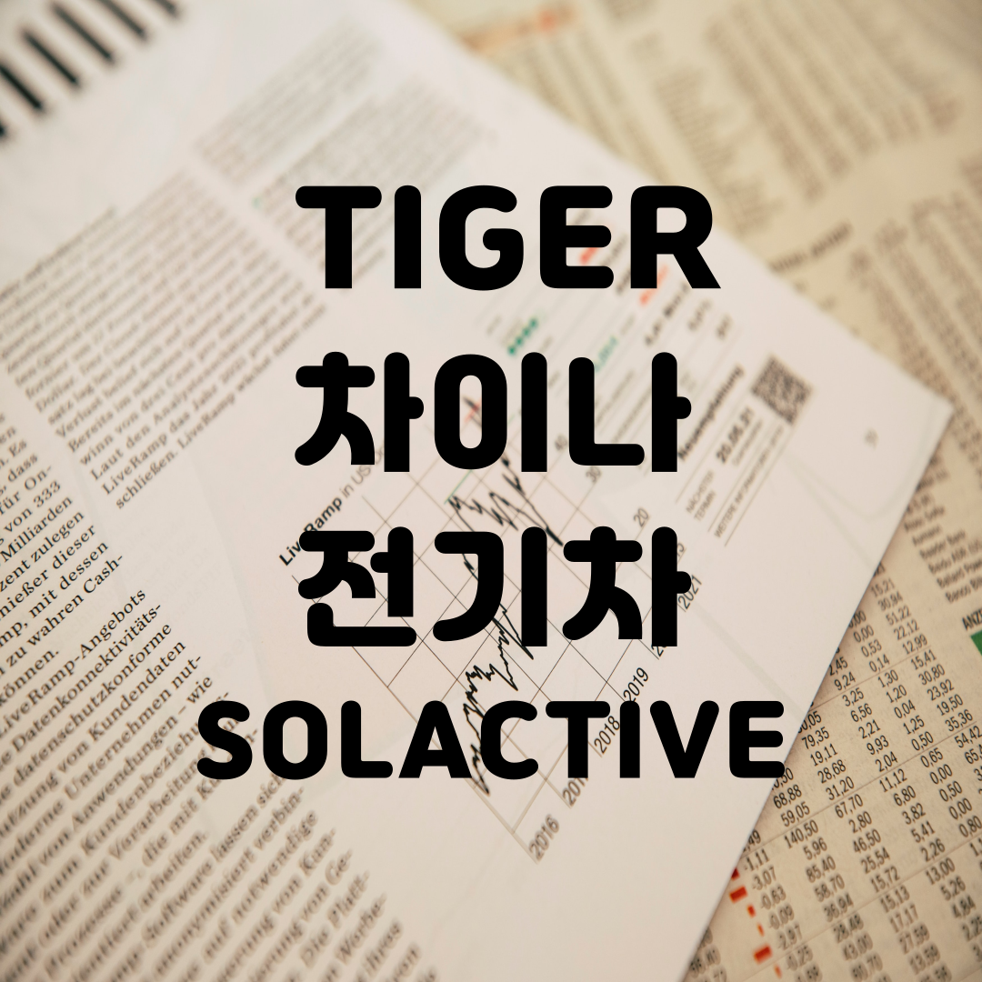 TIGER 차이나 전기차 SOLACTIVE