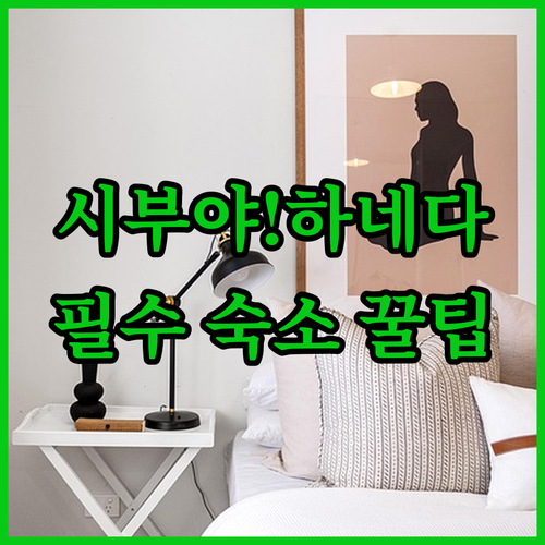 하네다 시부야 접근성 최고 도쿄 숙소..