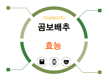 곰보배추 효능