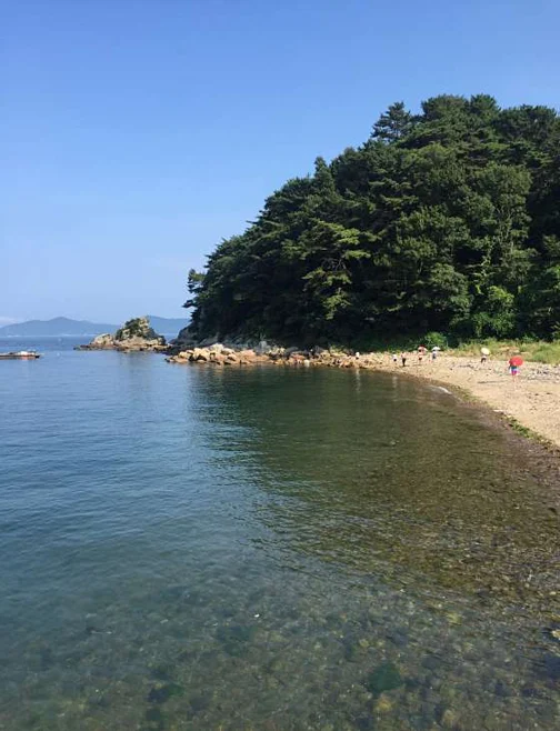 통영루지여행펜션