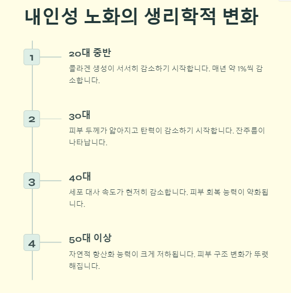 피부 노화 원인 및 예방법(방지비법)