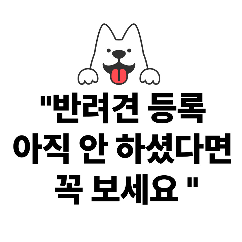 7월 31일까지 반려견 동물등록 집중단속 중!