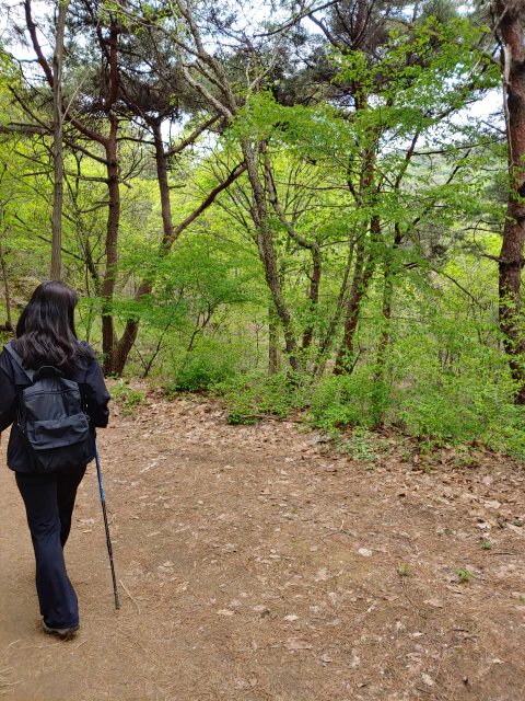 왕산사를-거쳐-왕방산-정상에-오르다