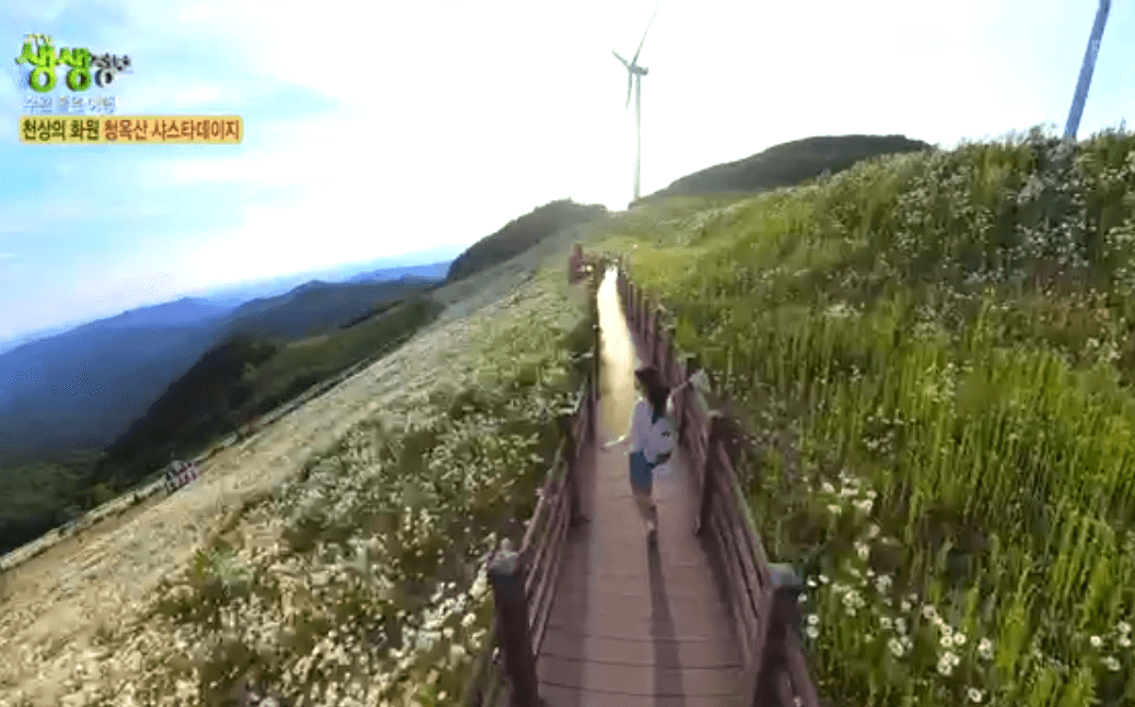 평창 가볼만한 곳 육백마지기