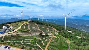 제 5회 거창한 거창산양삼축제와 함께하는 거창한 전국 가요제 기본일정과 특징 소개 박서진 박애리 고은희 손영희 등 출연