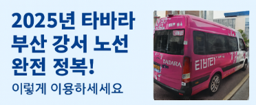 2025년 타바라 부산 강서 노선 완전 정복! 이렇게 이용하세요