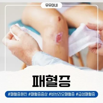 패혈증이란 무엇인지 원인 증상 치료 예방법_14