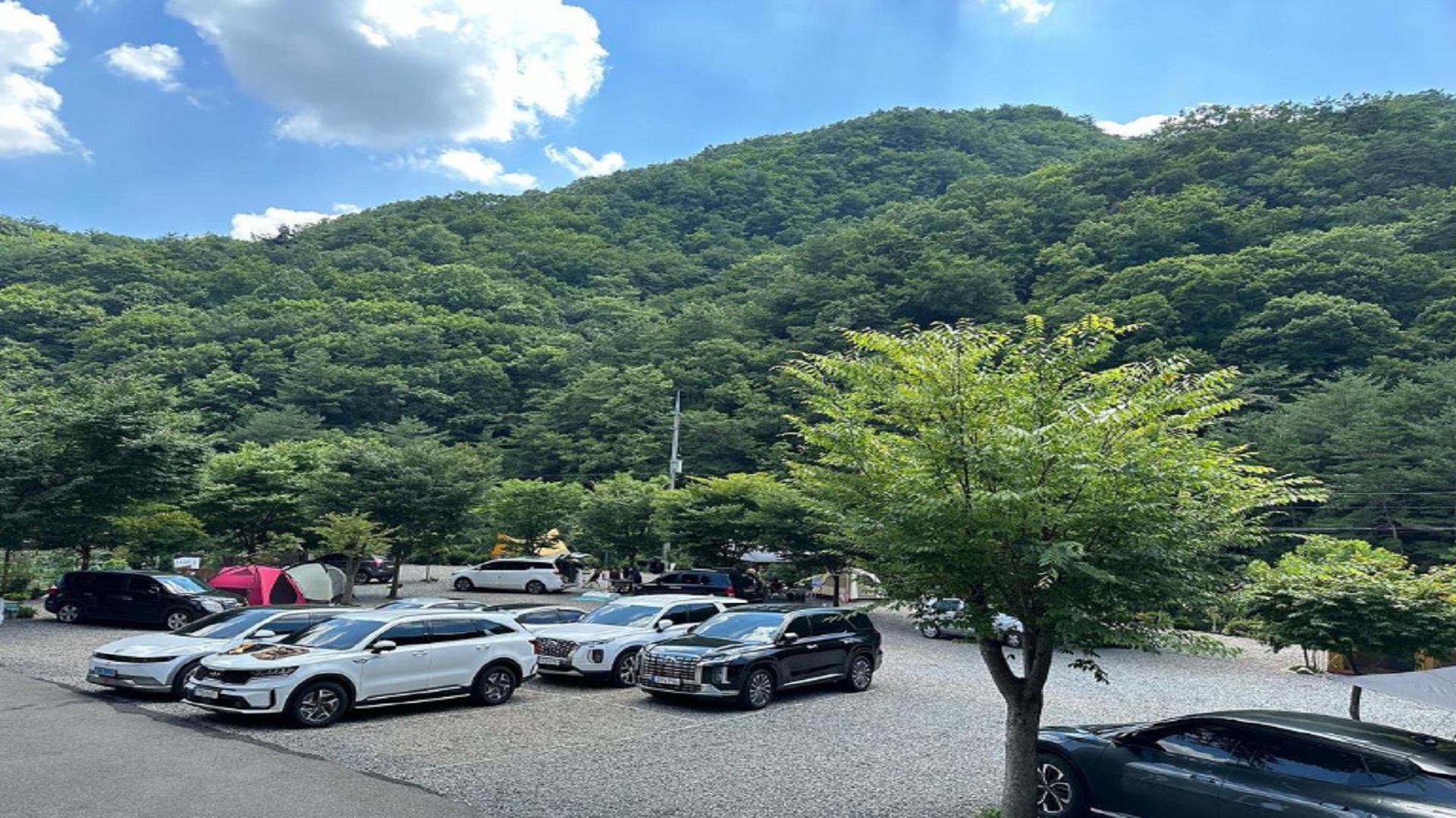 영월군 더 좋은 팬션 캠핑장 예약 바로가기