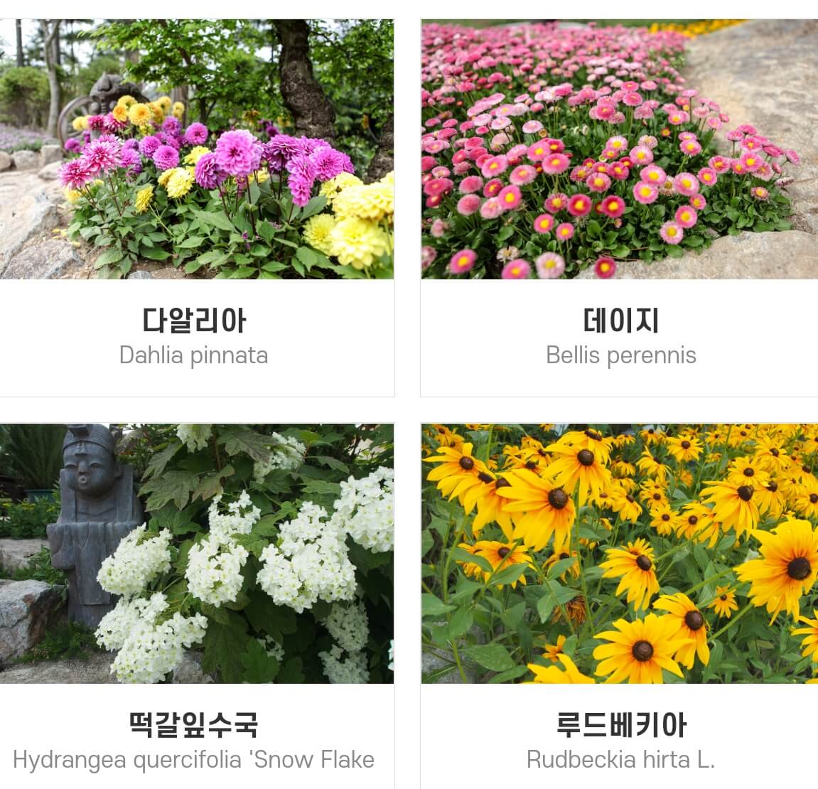 네이처파크 미라클 크리스마스 기본정보와 주차장,입장료를 알아봤습니다