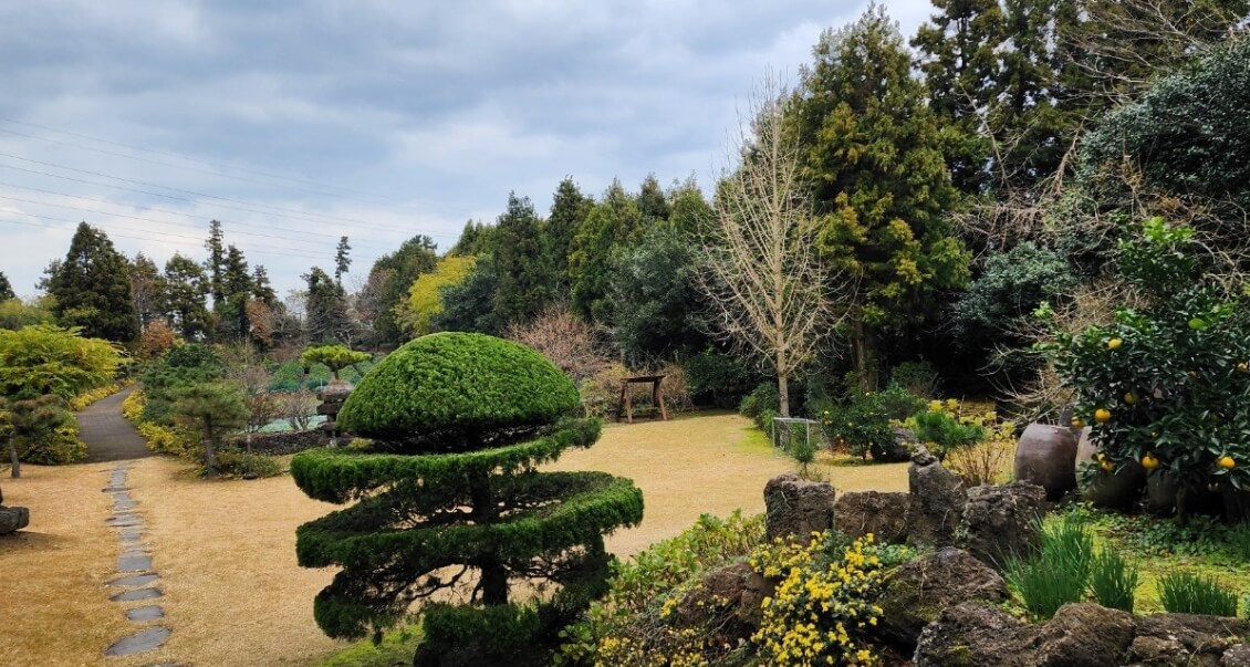 제주 남국사 : 삼나무 길과 수국이 아름다운 비밀 정원 제주 시내 작은 절