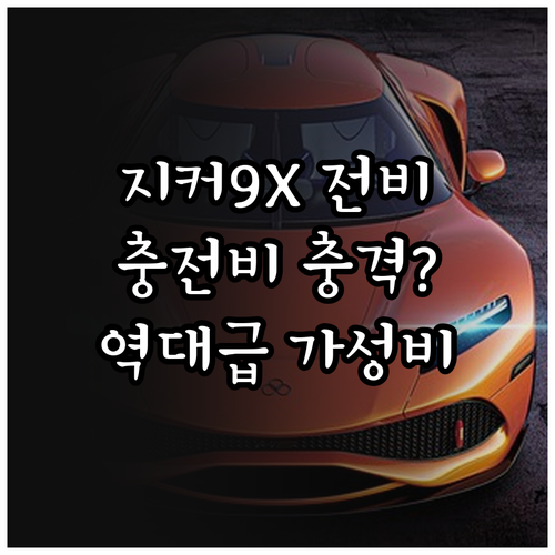 지커 9X 실제 주행 전비 효율과 거..