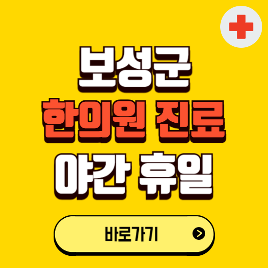 보성군 야간 휴일 한의원 한방병원 찾기 ❘ 24시 일요일 주말 연휴 응급진료 추천 잘하는 곳