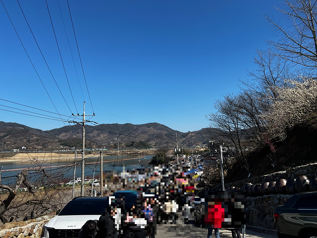 24년 광양 매화 축제 일정 요금 주차