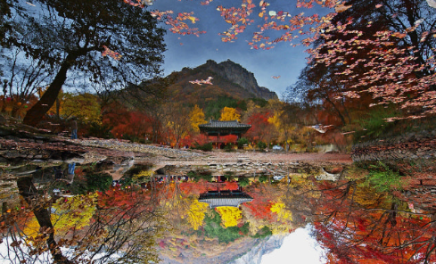 2025 백암산 단풍 절정 시기 & 등산코스 총정리! 사진 명소·교통팁까지