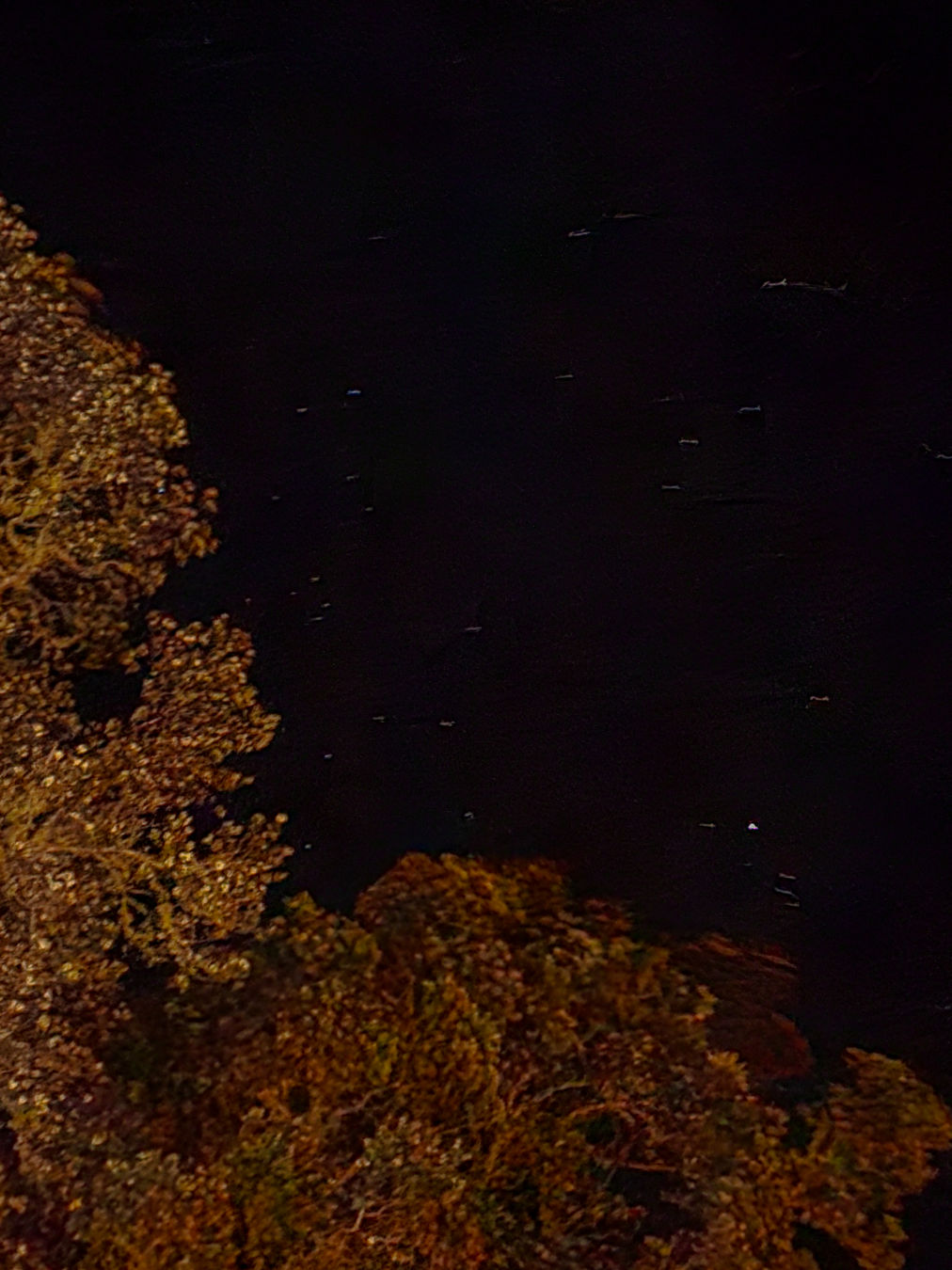 볼케이노 하우스 밤 산책