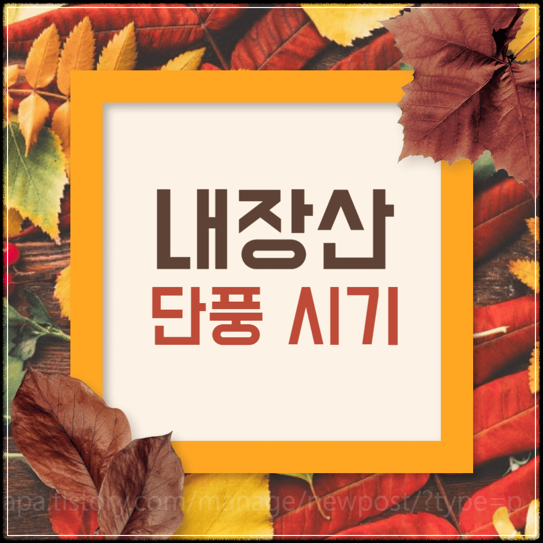 내장산단풍-절정시기