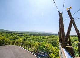 4월 제주도 가볼만한 곳 10곳