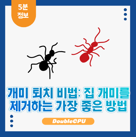 개미 없애는 방법
