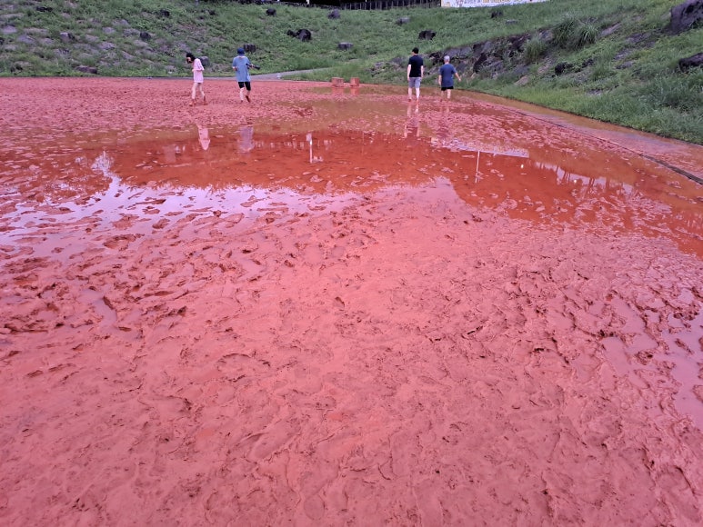 서귀포 황토어싱광장에서 어싱하는 모습