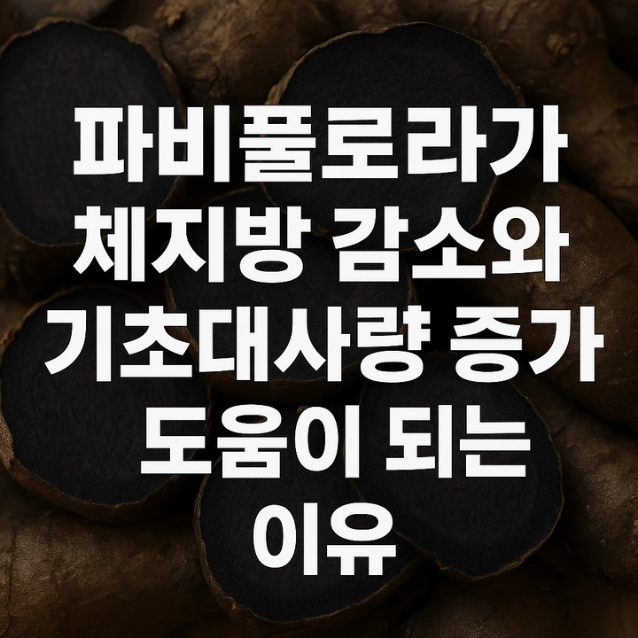 파비플로라_체지방감소_기초대사량증가