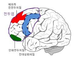 전두엽