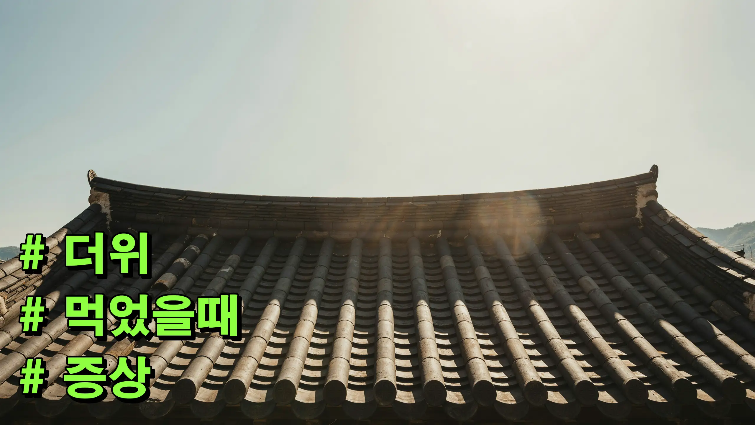 더위 먹었을때 증상