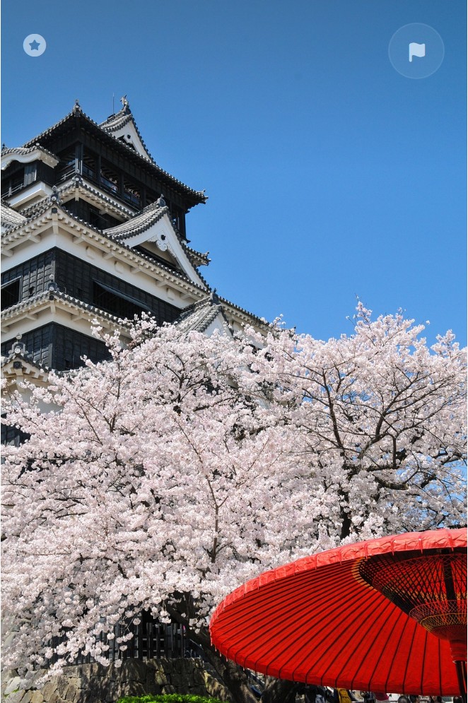 일본 규슈의 숨은 진주, 구마모토 여행 완벽 가이드