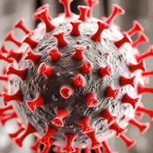 HMPV 관련주 대장주 테마주 수혜주 TOP5