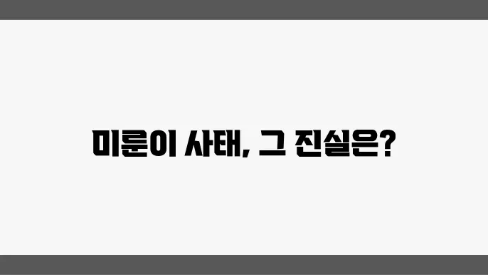 미룬이 사태의 장기적 영향