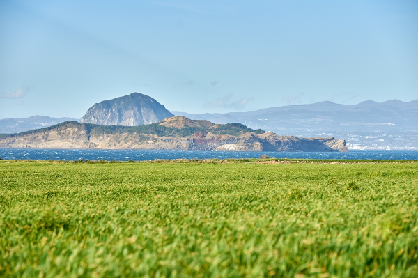가파도여행배시간 청보리축제