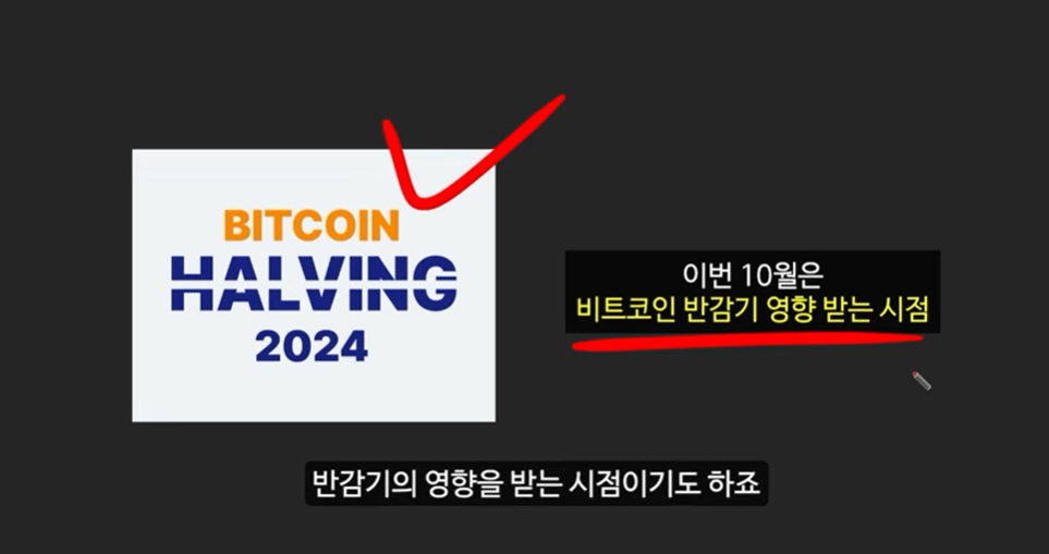 베이비 도지 코인의 급등 이유와 일론 머스크의 영향 ❘ 밈 코인 시장 전망