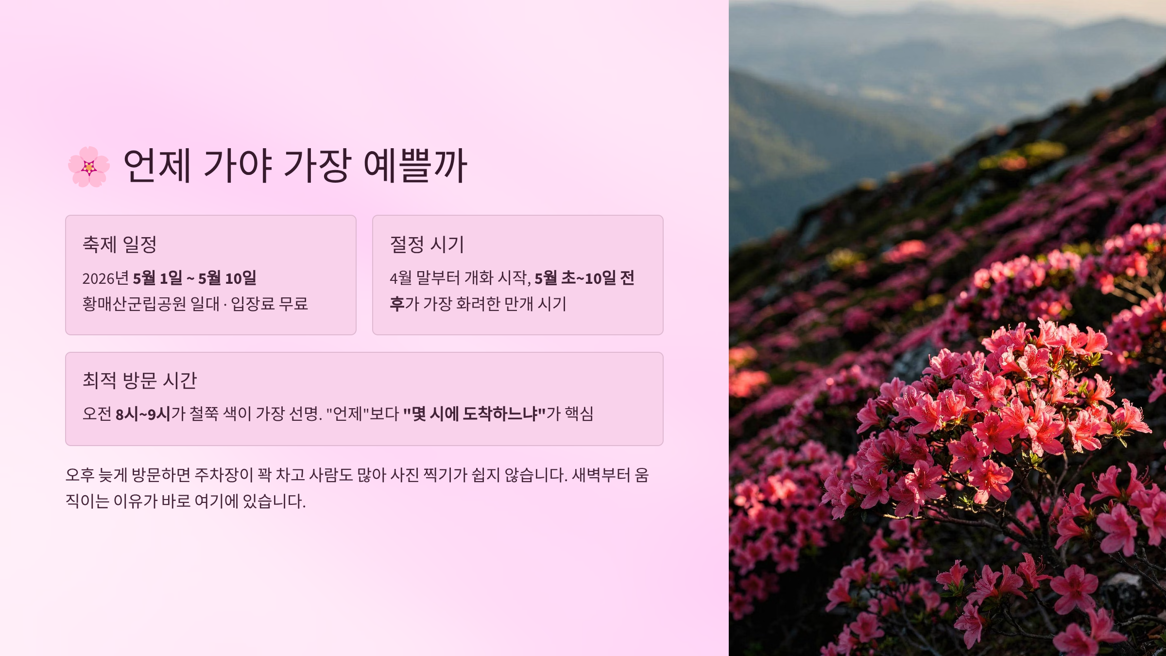 언제 가야 가장 예쁠까