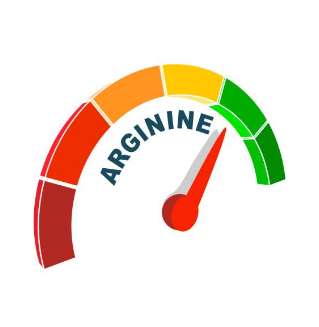 아르기닌 부작용, 아르기닌의 효능, 복용법 총정리 (2024ver)