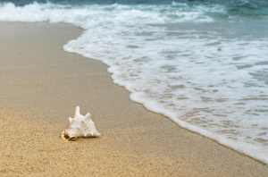스페인에서 해변 모래를 가져가면 생기는일