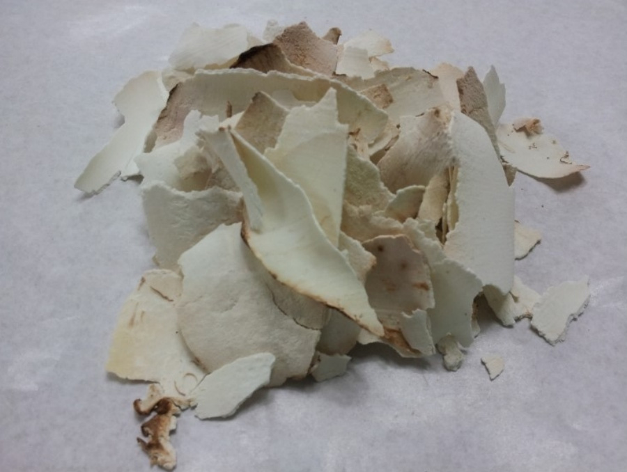 야생에서 채취를 한 백복령을 얇게 편으로 썰어서 하얀 바닥 위에 수북하게 쌓아놓고 찍은 사진