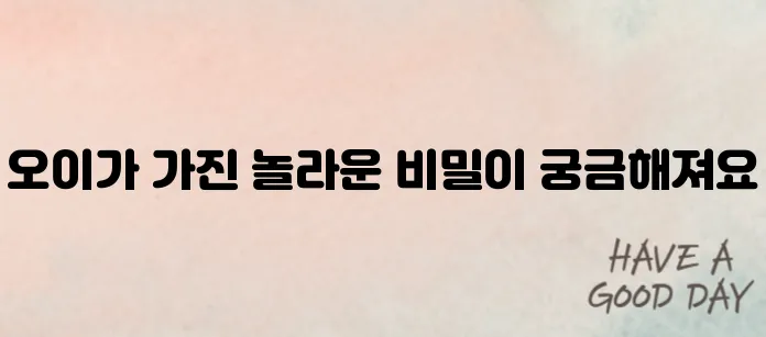 오이 효능