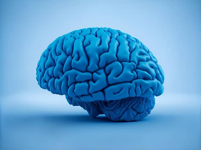 뇌과학 공부 시작하기: 뇌의 작동 원리 쉽게 설명