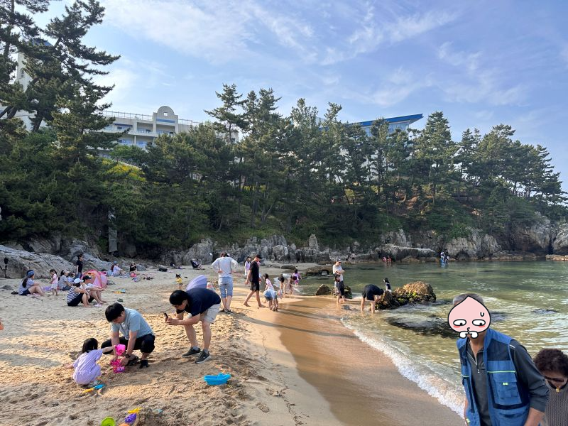 삼척 쏠비치