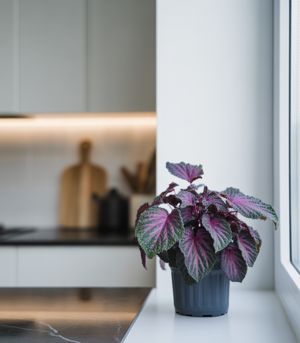 방아잎(배초향)&amp;#44; 도대체 어떤 맛이고 무슨 음식에 넣나요?