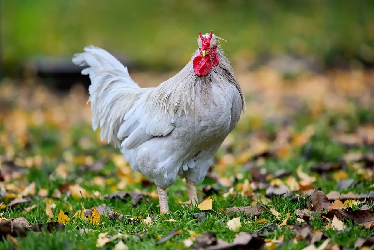 50대 귀촌 준비 일정표 만들기 (6개월 루틴)