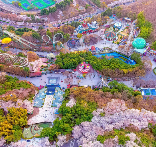 이월드블라썸피크닉