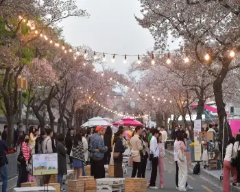 경주벚꽃축제_12