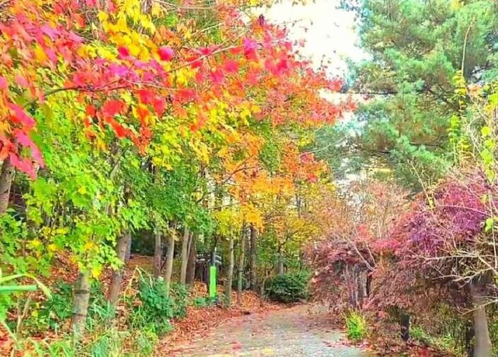 천안 가볼만한곳 베스트 10