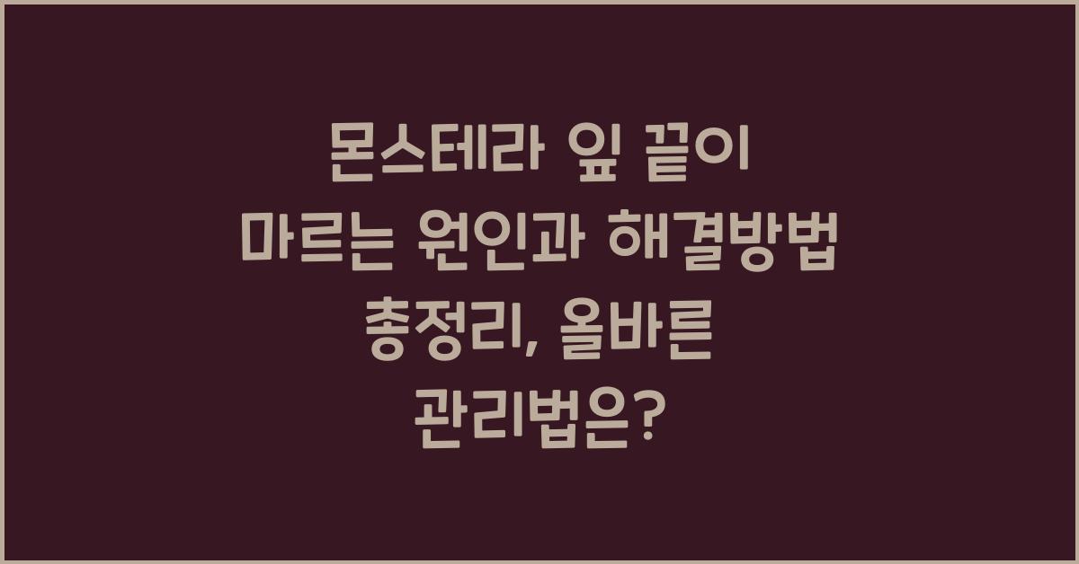 몬스테라 잎 끝이 마르는 원인과 해결방법 총정리