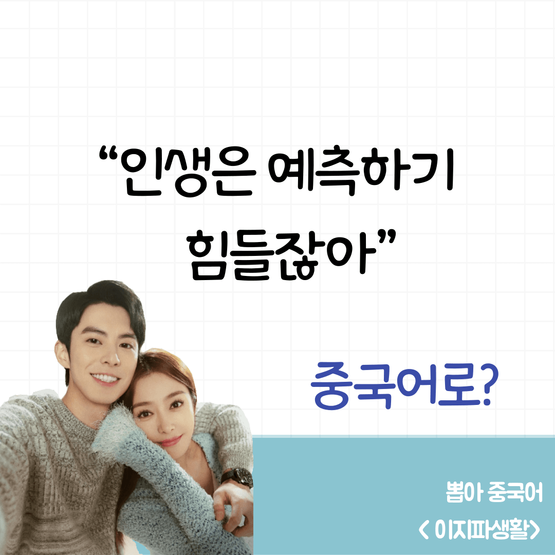 이지파생활