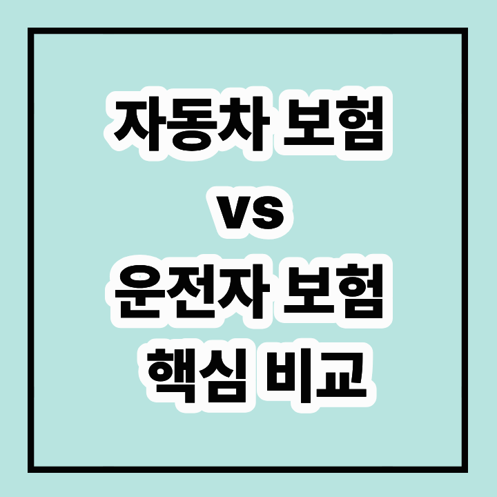 자동차 보험 vs 운전자 보험 차이 핵심 비교
