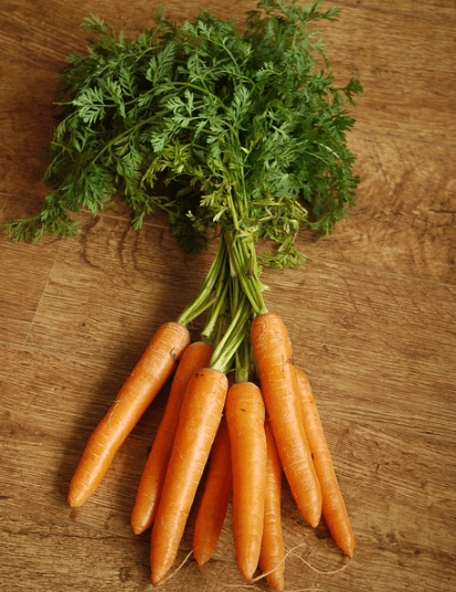 마그네슘이-풍부한-음식-당근