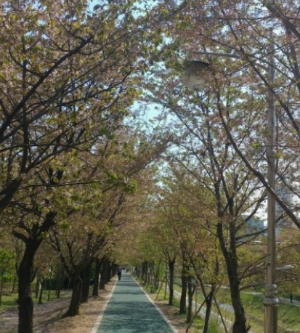 도심속휴식공원